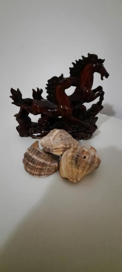 Apartament Clara Permet公寓 外观 照片